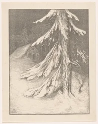 Spar in sneeuwlandschap