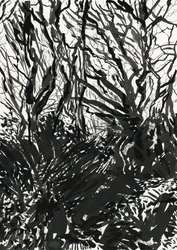 Ham Common Woods (inkt en grafiet op papier)