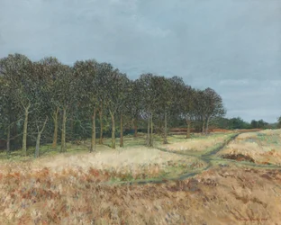 Bos, Richmond Park, 2019 (olieverf op doek)