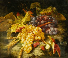 Druiven, baardtarwe en aardbeien op een rotsachtige richel, 1849