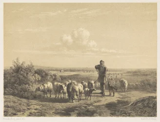 Herder met zijn schapen op de hei