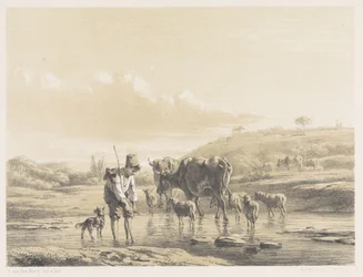 Herdersjongen met kudde in ondiep water
