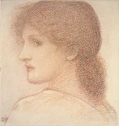 Studie van een vrouwenhoofd, naar links gedraaid