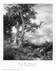 Bos Eiken, Fontainebleau