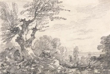 Landschapscompositie