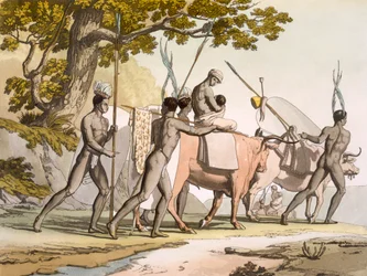 Korah Hottentotten van de Kaap onderweg, Vol II, c1820-40