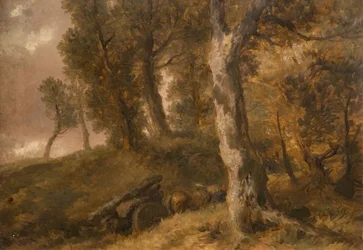 Studie van Bomen
