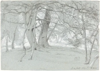 Bomen bij Box Hill