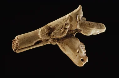 Driekoppige speerwerper, een prehistorische hoornstaf.