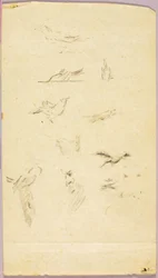Vogels