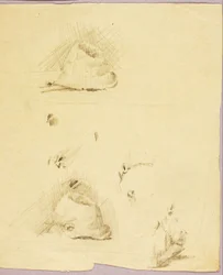 Hoeden