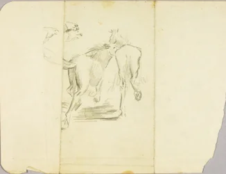 Paarden
