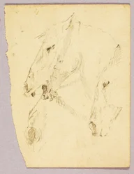 Paardenkoppen