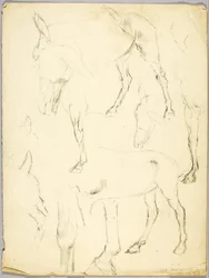 Portretstudie, Paardenstudie