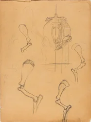 Schetsboek