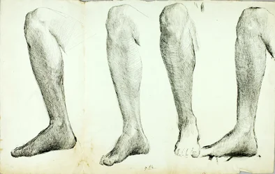 Studie van anatomie, #5