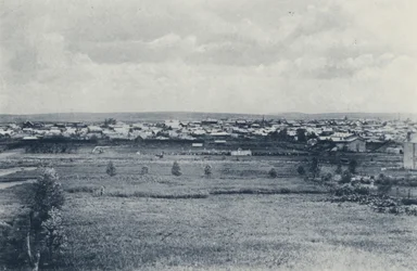 Hoe Johannesburg eruitzag voordat de Bomen groeiden