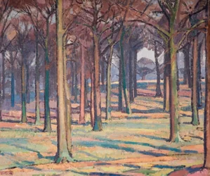 Bos in Richmond Park, 1914