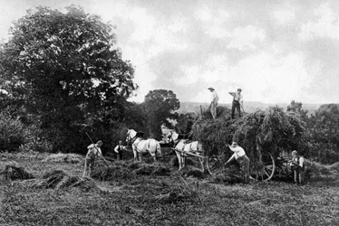 Hooien, 1911-1912