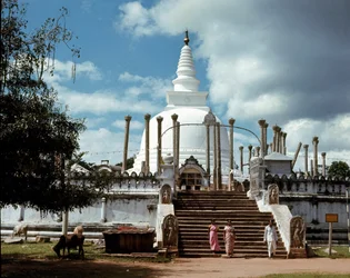 Uitzicht op Thuparamaya dagoba