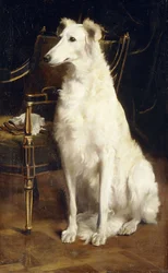 Een Borzoi bij een stoel
