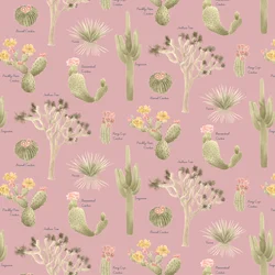 Mojave Woestijn Cactussen Patroon