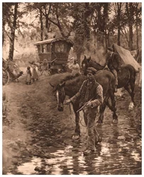 Nomaden, 1903
