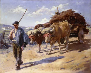Boer met zijn ossenkar, Ascain