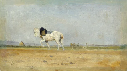 Een ploegpaard in een veld