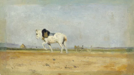Een ploegpaard in een veld