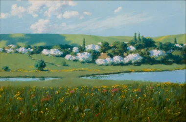 Landschap in de lente met een vijver