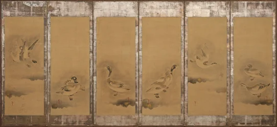 Wilde ganzen, Momoyama of Edo periode