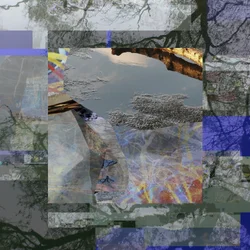 Weerspiegeling van een versnipperde boom