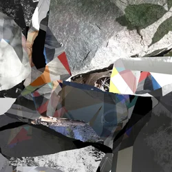 Collage van geometrische natuur