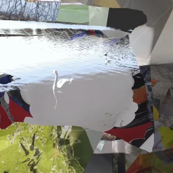 Abstracte collage ‘Witte zwaan’
