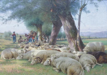 Schapen in rust, c.1900