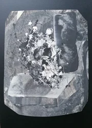 Abstract stilleven met schedel