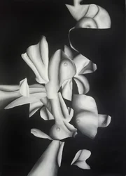 Surrealistische lichaamsvormen