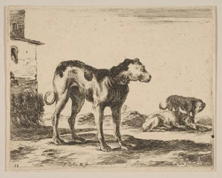 Plaat 11: honden, uit Diverse dieren Diversi animali, ca. 1641