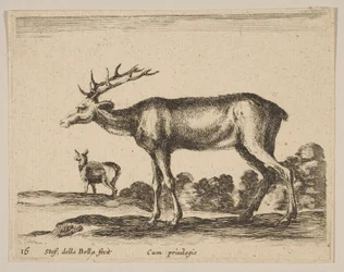 Hert, uit Diverse dieren