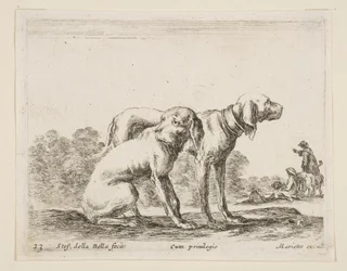 Plaat 23: twee honden, uit Diverse dieren Diversi animali, ca. 1641