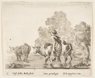 Een boerin drijft twee koeien door een beek, lopend naar links