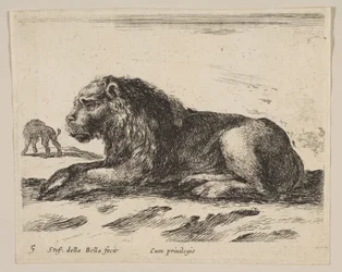 Plaat 5: liggende leeuw, uit Diverse dieren Diversi animali, ca. 1641