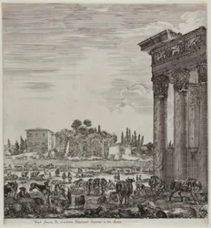 De Tempel van Antonin en de Campo Vaccino