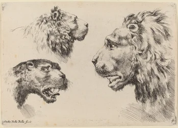 Drie leeuwenkoppen