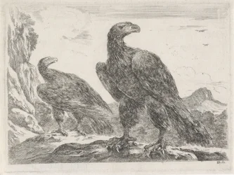 Twee adelaars met koppen naar rechts Adelaars
