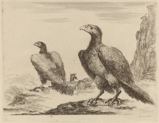 Twee adelaars, beide met hoofden naar links gedraaid, op een hoge klif