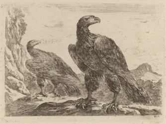Twee Adelaars, Beiden met Hoofd naar Rechts Gekeerd
