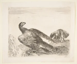 Twee adelaars, een met prooi, uit Adelaars Les aigles, ca. 1651