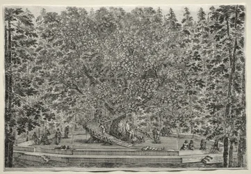Gezichten van de Villa van Pratolino: De Bewoonde Boom